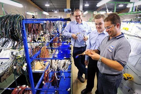 electrical wiring harness