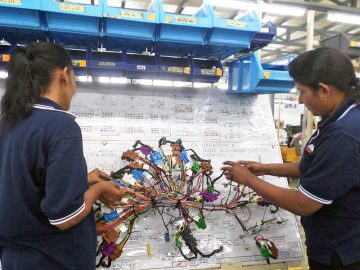 wiring loom