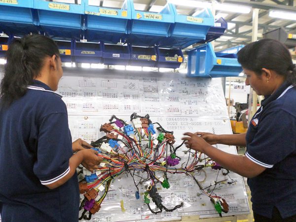 wiring loom