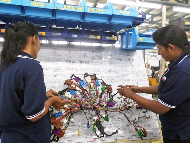 wiring loom